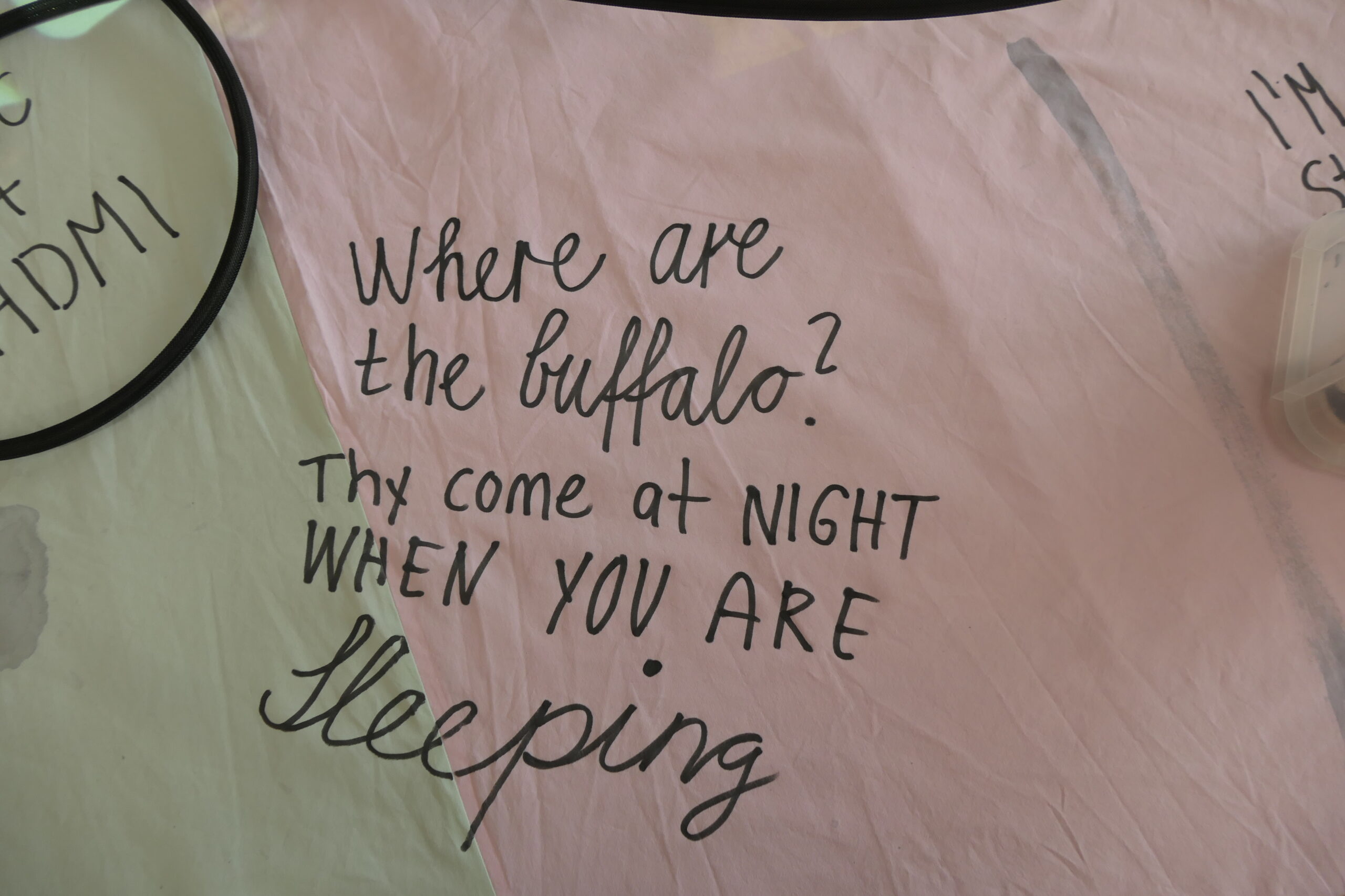Where are the buffalo – They come at night when you are sleeping